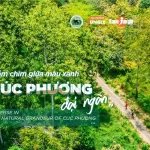 Lưu bản nháp tự động