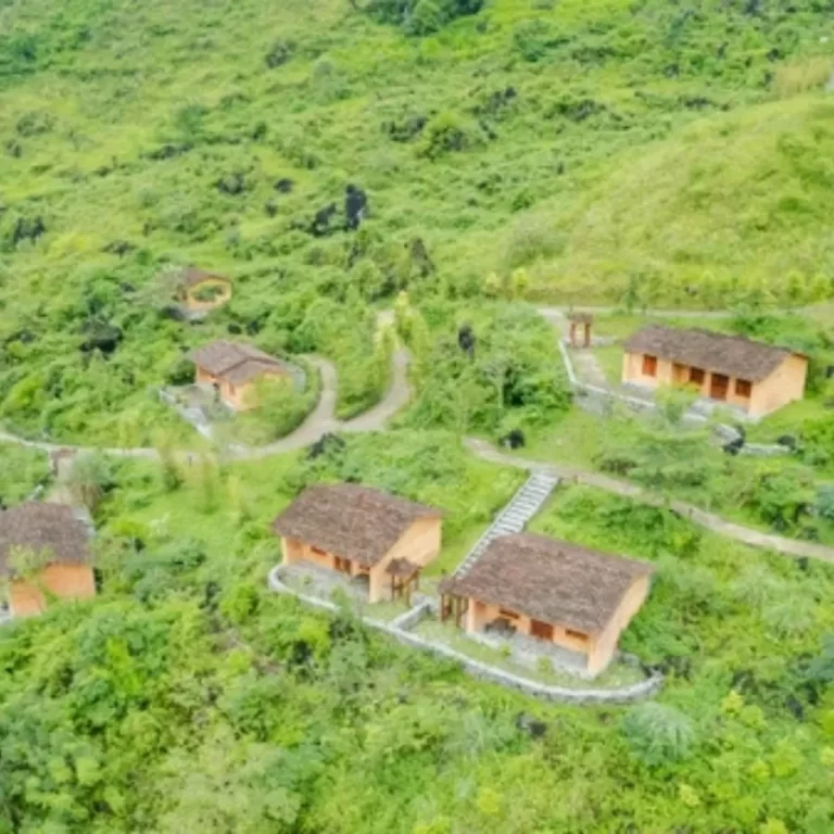 Lưu nháp tự động