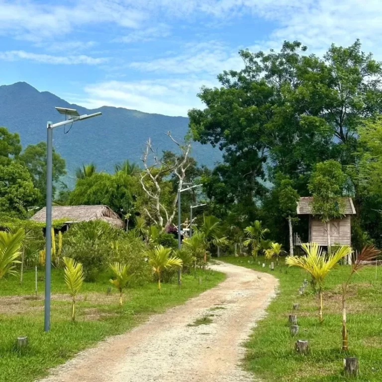 Lưu nháp tự động