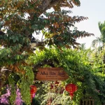 Homestay Nhà Bên Suối