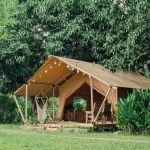 Lưu nháp tự động
