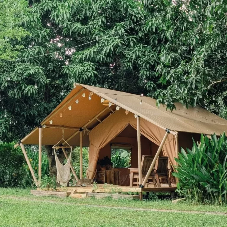 Lưu nháp tự động