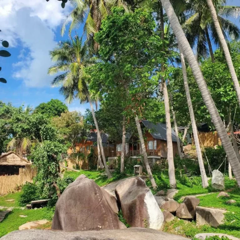 Rái Cá Homestay
