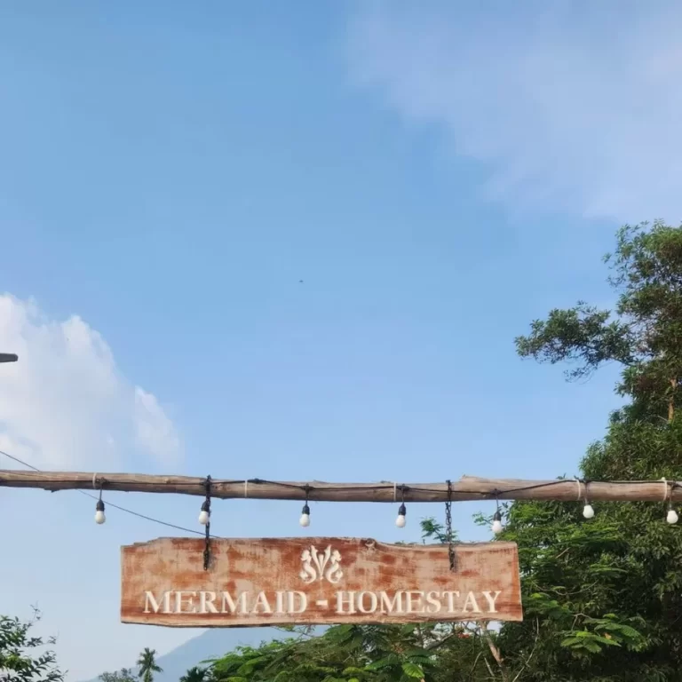 Mermaid Homestay Tây Ninh
