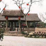 Lưu nháp tự động