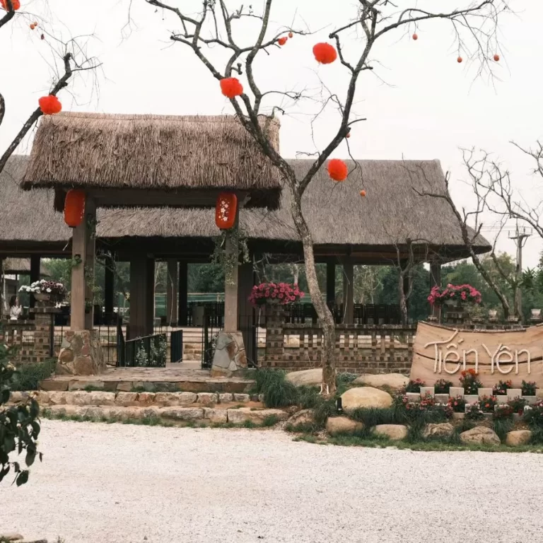 Lưu nháp tự động