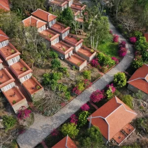 Lưu nháp tự động